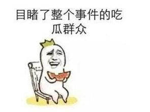 发生了啥事吃瓜群众,吃瓜群众纷纷围观