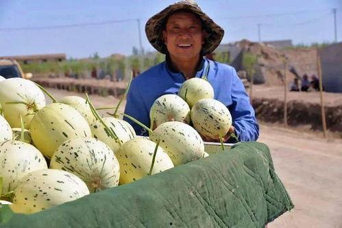 美国吃瓜群众排座,排座背后的社交法则与身份认同