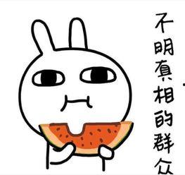 吃瓜别较真