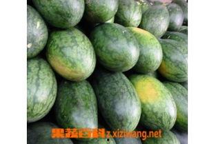 黄色的美人瓜怎么吃,黄色美人瓜的多样食法探索