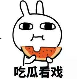 蘑菇头吃瓜视频,揭秘网红美食背后的故事