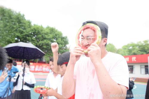 萌叔吃瓜大赛,一场欢乐的美食盛宴