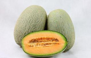 哈密瓜搭什么吃,开启夏日味蕾盛宴