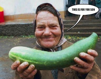 俄罗斯 吃瓜,揭秘国际政治的“瓜田”趣事