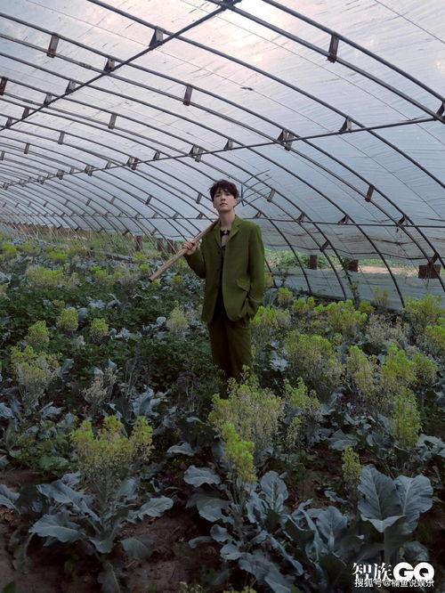 吃瓜的封面,吃瓜群众视角下的明星幕后故事