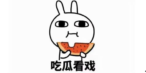 吃瓜结婚文案短句,一场别开生面的甜蜜盛宴