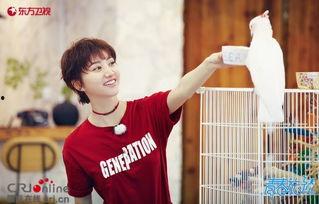 王源吃瓜起哄,揭秘娱乐圈幕后趣闻