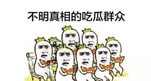 吃瓜前区,探寻娱乐圈背后的真相与秘密
