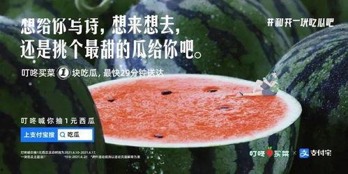 吃瓜聚会文案短句图片,吃瓜聚会短句图集