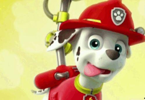 汪汪队吃酸瓜视频,欢乐吃酸瓜大冒险