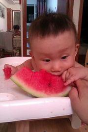 吃瓜的苗苗直播,吃瓜群众的热议焦点