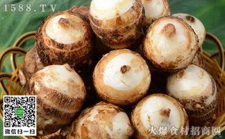 蒲瓜多久能蒸熟吃,蒲瓜快速蒸熟食用指南