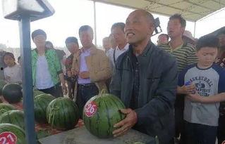 内黄万洋吃瓜,揭秘背后的真相与争议