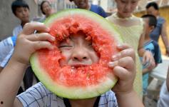 邯郸县吃瓜,品味夏日清凉