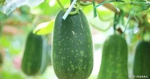 吃瓜月份,揭秘每月必吃的时令瓜果盛宴