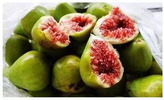 吃八爪瓜,探寻独特风味与营养奥秘