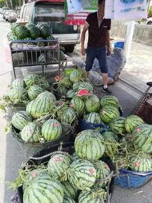 菏泽曹县吃瓜事件,网络舆论的风暴与反思