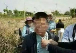 江苏盐城吃瓜事件始末